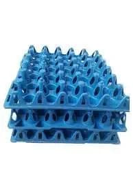 METRO IMPEX Egg Trays Plastic for Storage with 30 Eggs Holder, Egg Carry for Incubator, Poultry Egg Tray, Refrigerator (28 x 28 x 5) cms | Colours may vary (Pack of 30)