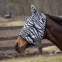 Summer Sheet Combo with Zabra Print Design, Zebra Printed Horse Blanket & sheet (ZEBRA PRINT FLY MASK, 185 CMS)