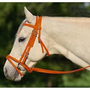 BLESSING PET SUPPLY Horse Bridle, Harness, Durable For Horse Nylon Race Horse Bridle With Export Quality Bit (Orange)