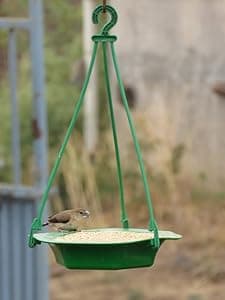 Amijivdaya Plastic Bowl Bird Feeder for Food & Water, Multipurpose, Medium