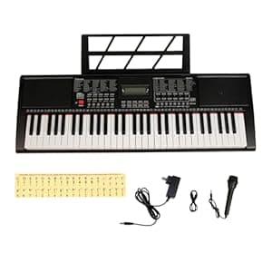 Intern INT-KB-6102, 61 Keys Touch Response Portable Piano Keyboard with Microphone and 9V DC Power Adapter (Black)