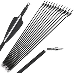 Futaba 30 inch Archery Arrows for Recurve Bow Fiberglass Target Practice (6 pcs) - Black